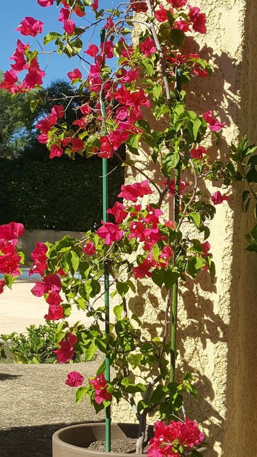 לינה וארוחת בוקר Langlade La Demeure D'Helice מראה חיצוני תמונה